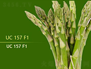 UC157F1-�J�S�N��-��T�S�r(n��ng)�I(y��)