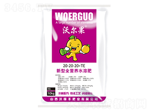 ����ȫ�I(y��ng)�B(y��ng)ˮ�ܷ�20-20-20-�ּ��S