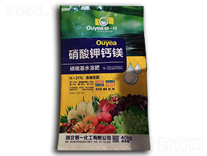 ������}�V��-��һ����