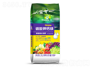 21%������}�V��-��һ����