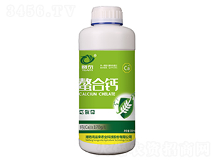 �����}-�A̩-���\��