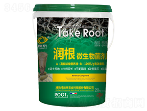 ����΢�������-�A̩-���\��