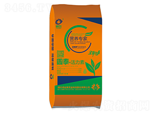 �A̩��������-���\(y��n)��(l��i)