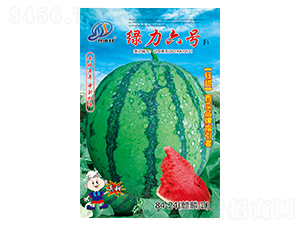 �G����̖(h��o)-���ϷN��-�����r(n��ng)�I(y��)