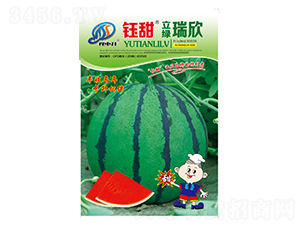 ���G����-���ϷN��-���-�����r(n��ng)�I(y��)