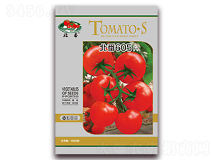 ����605F1-�t�����ѷN��-����