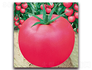 ����303-�۹����ѷN��-����