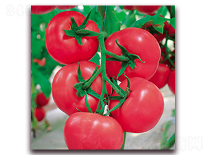 �W��90-�۹����ѷN��-����