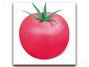 ���m7̖(h��o)-�۹����ѷN��-����