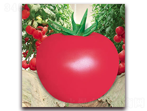 ���m��ʯ-�۹����ѷN��-����