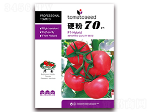 Ӳ��70F1-�۹����ѷN��-����