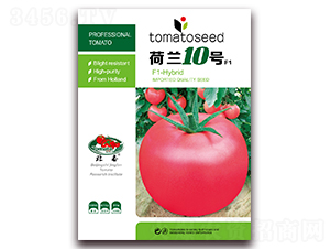 ���m10̖(h��o)F1-�۹����ѷN��-����