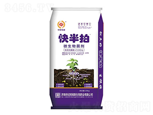 ΢�������-�����-��ķ˹����