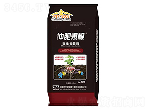 ΢�������-�ٷʱ���-��ķ˹����