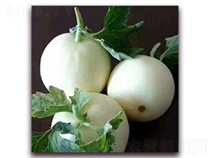 ̩��(gu��)�S��-��ϷN��-��ʢԪ