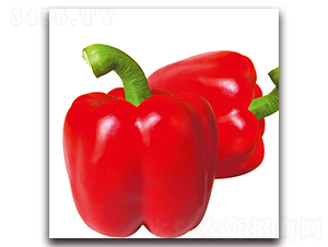 ِ����-�𽷷N��-��ʢԪ