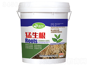 ������-���R-ؐ������