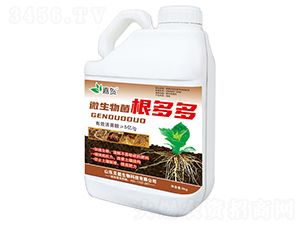 ΢����������-���R-ؐ������