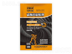 ̼ø�S�����-��(y��u)�㝙-ؐ������