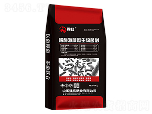 ̼ø����΢�������-�\��