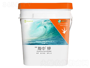 ⛛_ʩ��-����-�������