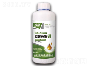 �z�w�~з�}-�S��