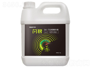 SK-T�������AҺ-�W��-�r(sh��)��