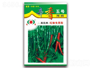 ����5̖-�⽷�N��-�r(n��ng)��