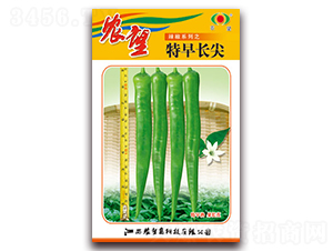 �����L��-�⽷�N��-�r(n��ng)��