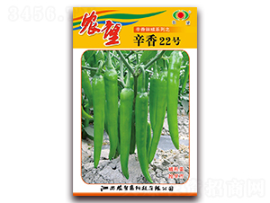 ����22̖-�⽷�N��-�r(n��ng)��