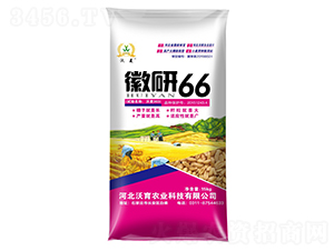 ����66-С���N��-�����r(n��ng)�I(y��)