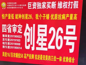 ��(chu��ng)��26̖-С���N��-�����r(n��ng)�I(y��)