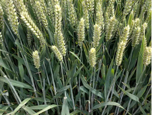 ����2000-С���N��-���\�N�I(y��)