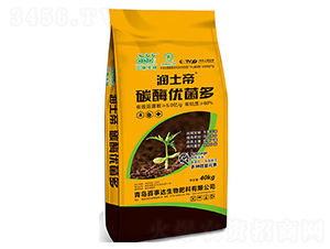 ̼ø��(y��u)����-��(r��n)����-�����_(d��)