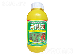 �Ų��-�A������