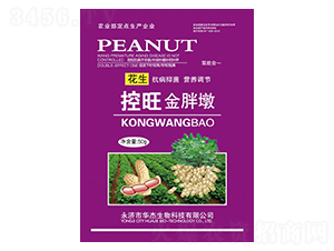 �����������ֶ�-�A������ 