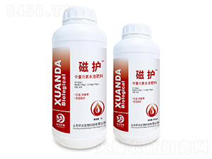 ֲ�������-���o-܎�_���� 