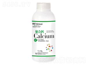 �ۺ��}-�A������