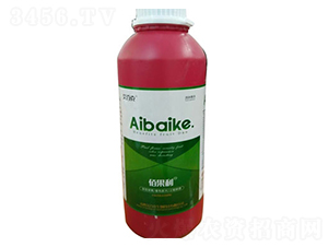 �۹���-���ٿ�