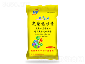 ̿��������-���S���-���S�ʘI(y��)