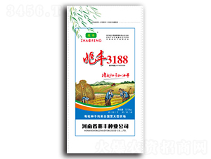 ���S3188-С���N��-���S