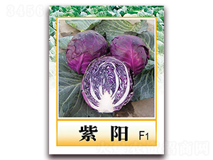 ���F1-�ϸ��{�N��-���r���v