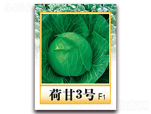 �ɸ�3̖F1-������{�N��-���r���v