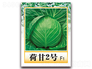 �ɸ�2̖F1-������{�N��-���r���v