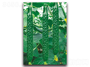 �n��һ̖-�S�ϷN��-���r(n��ng)���v