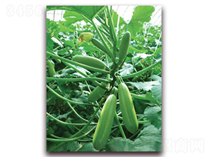 ���v36-�����J�N��-���r(n��ng)���v