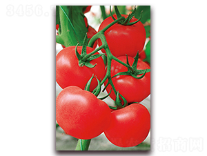 ِ����116F1-��t��ʯ�^���N��-���r(n��ng)���v