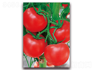 ِ����115F1-��t�����ѷN��-���r(n��ng)���v