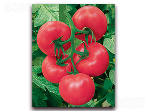 �W˹��F1-��TY�߮a(ch��n)�۹����ѷN��-���r(n��ng)���v