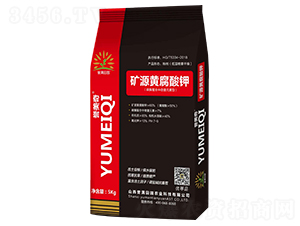 �VԴ�S�����-�u����-�u�M��@